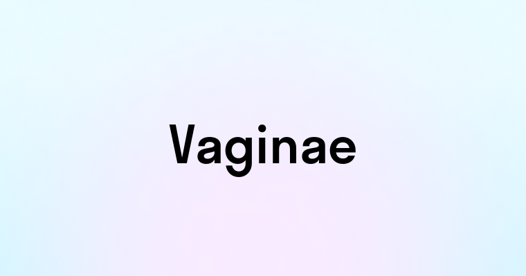 Vaginae