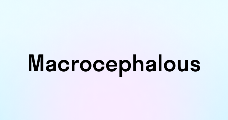 Macrocephalous