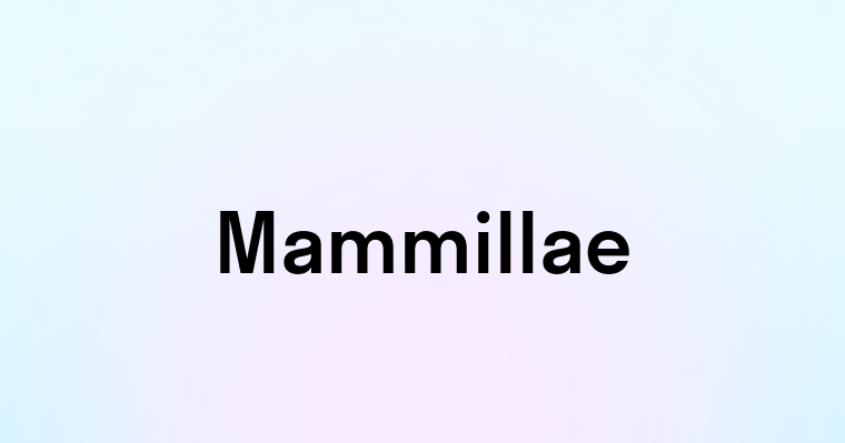 Mammillae