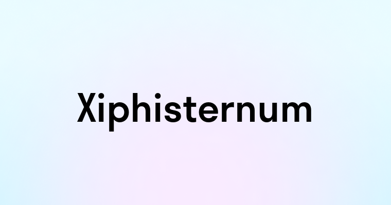 Xiphisternum