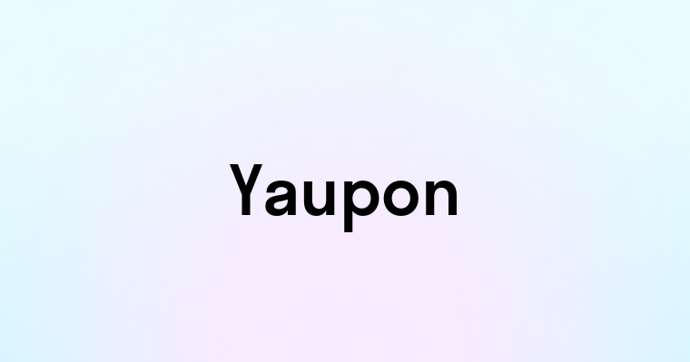 Yaupon