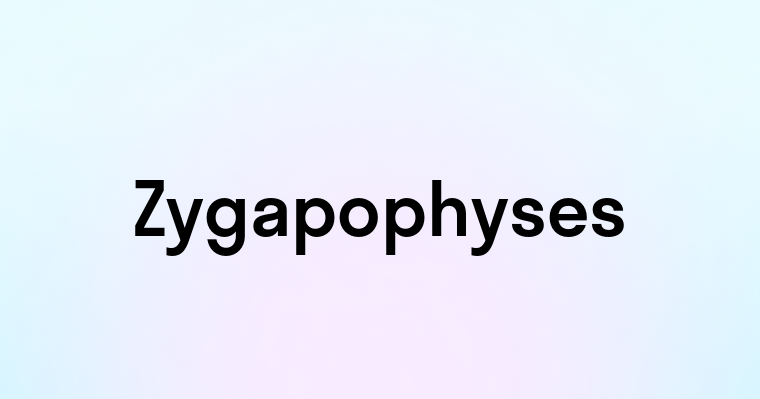 Zygapophyses