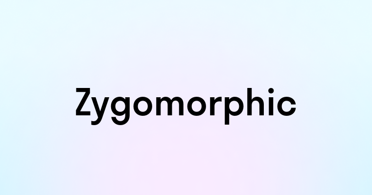 Zygomorphic