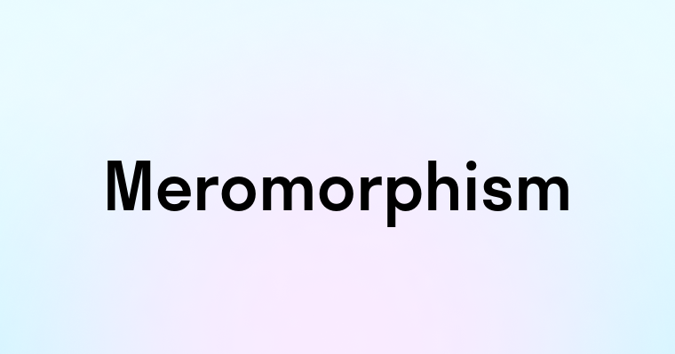 Meromorphism