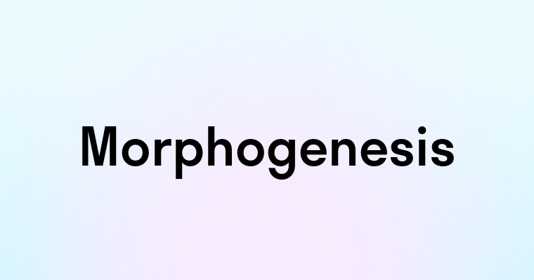 Morphogenesis