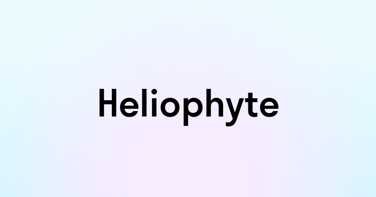 Heliophyte