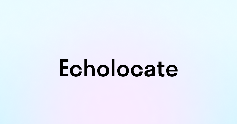 Echolocate