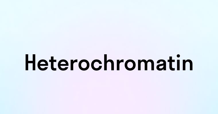 Heterochromatin