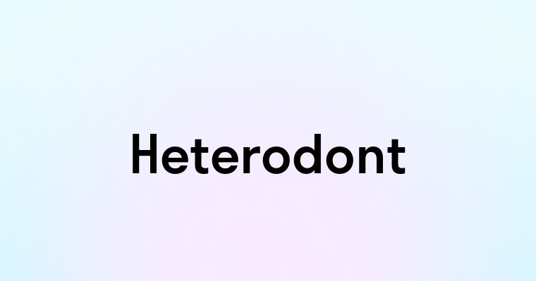 Heterodont