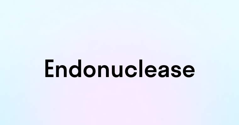 Endonuclease