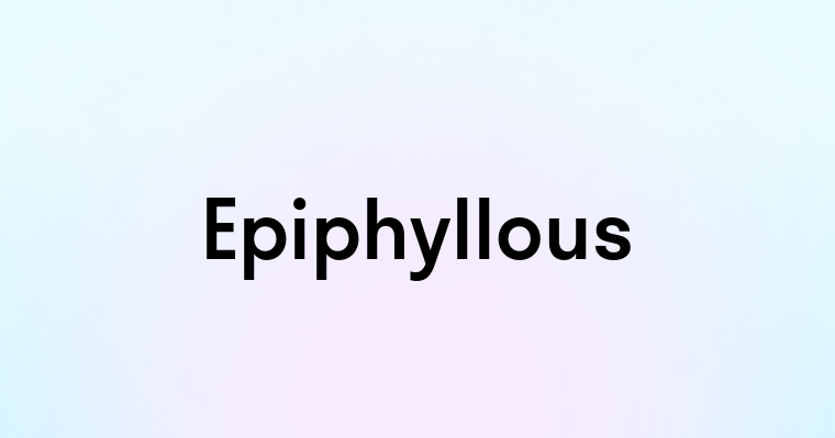 Epiphyllous