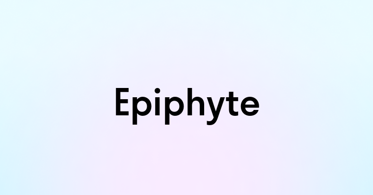 Epiphyte