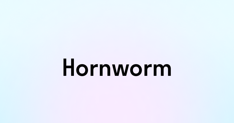 Hornworm