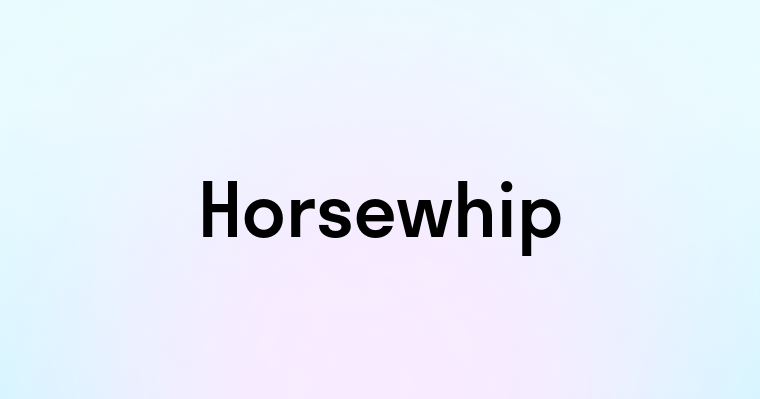 Horsewhip