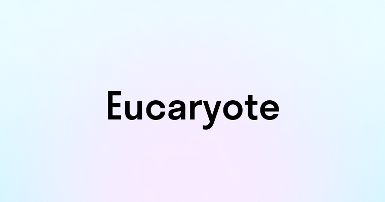 Eucaryote