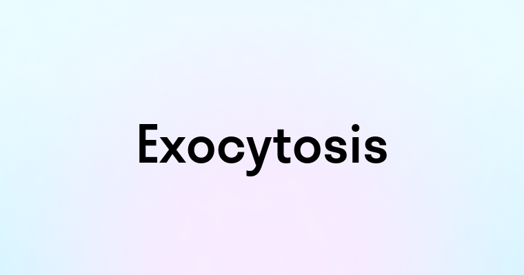 Exocytosis