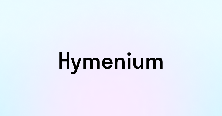 Hymenium