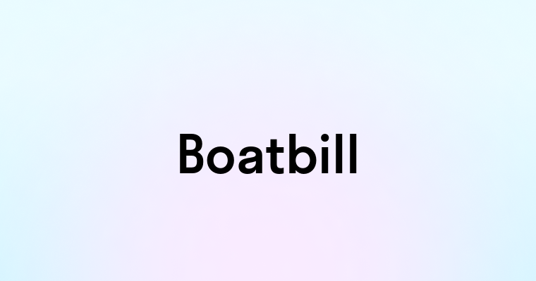 Boatbill