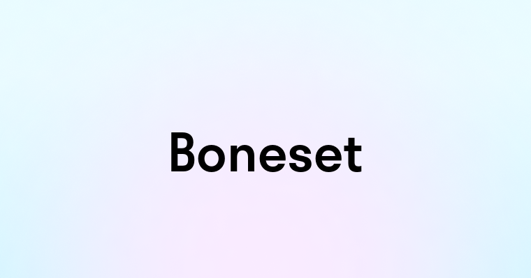 Boneset