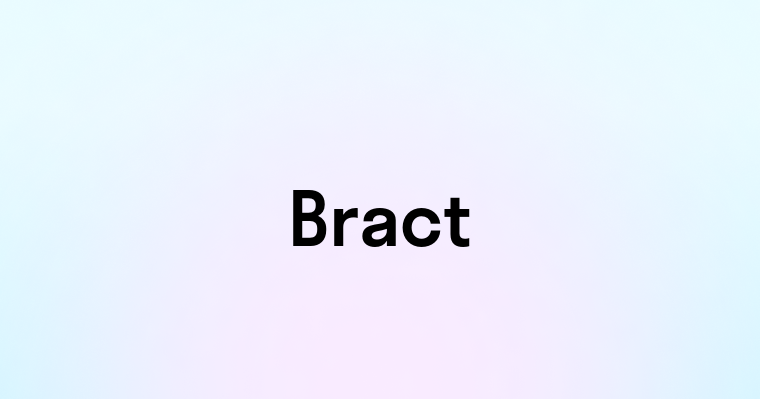 Bract