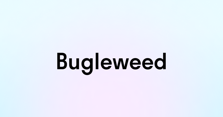 Bugleweed