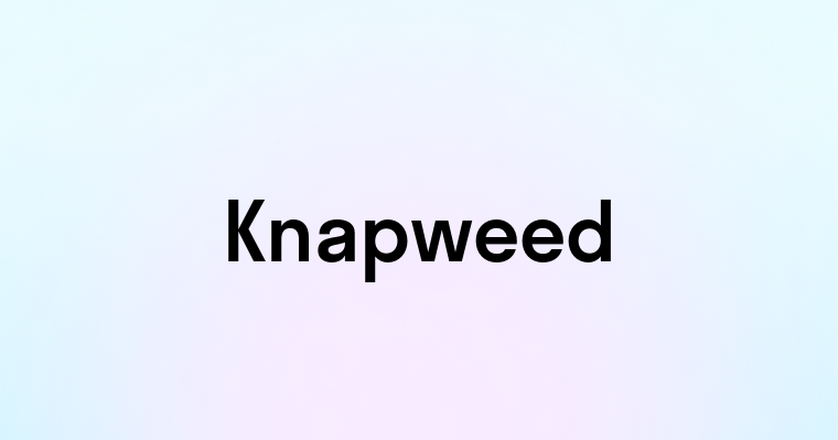 Knapweed