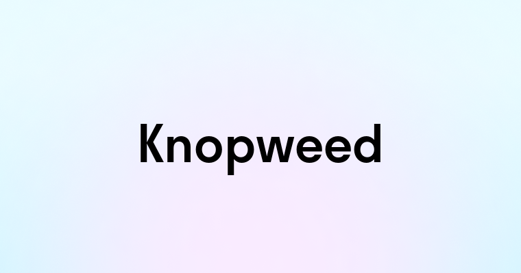 Knopweed