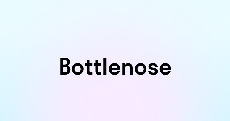 Bottlenose