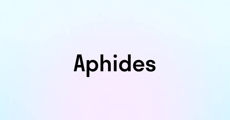 Aphides