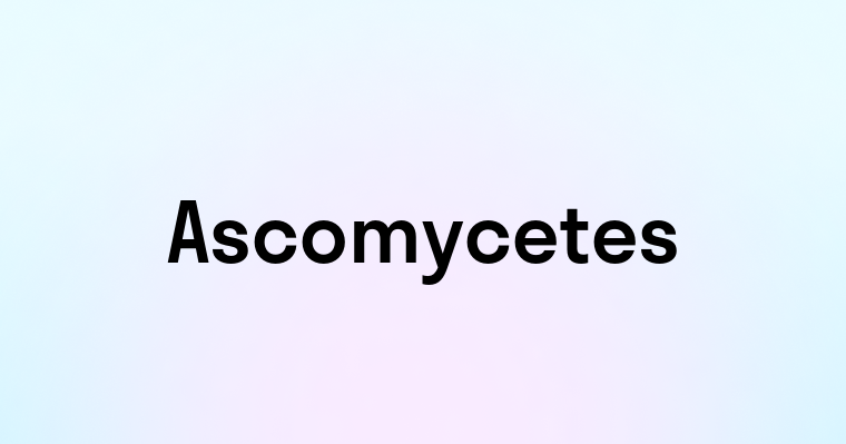 Ascomycetes