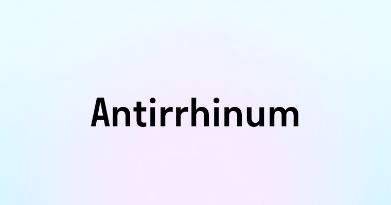 Antirrhinum