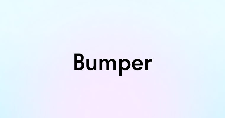 Bumper