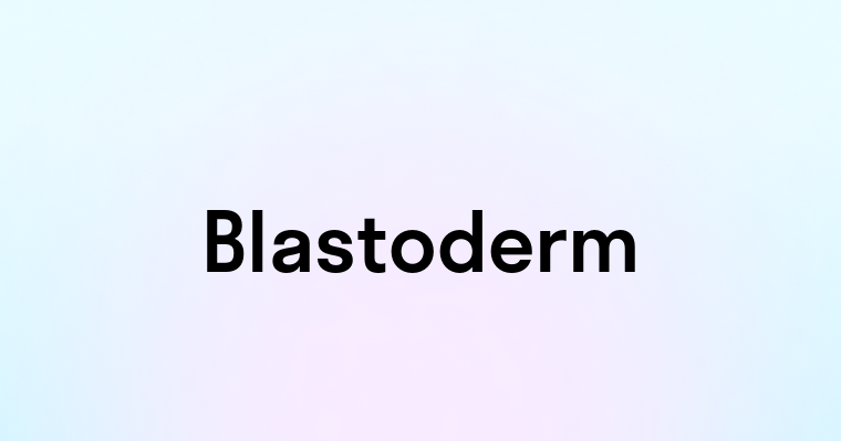 Blastoderm