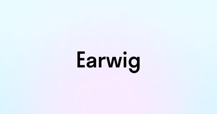 Earwig