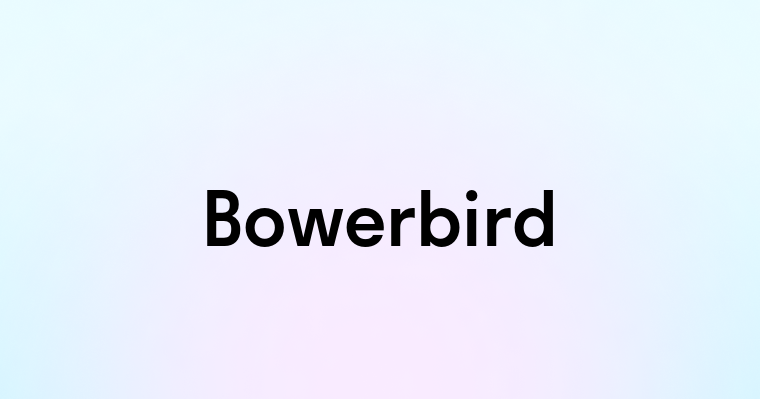 Bowerbird