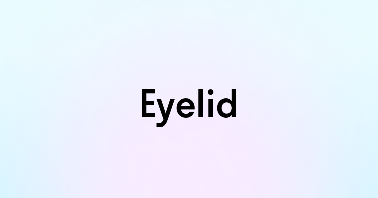 Eyelid