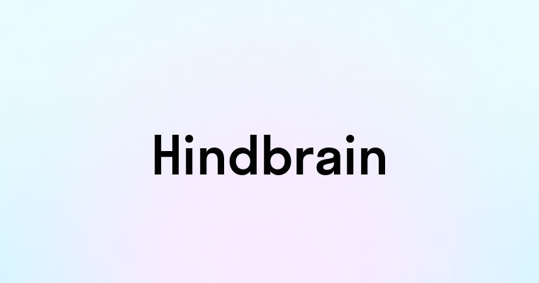 Hindbrain