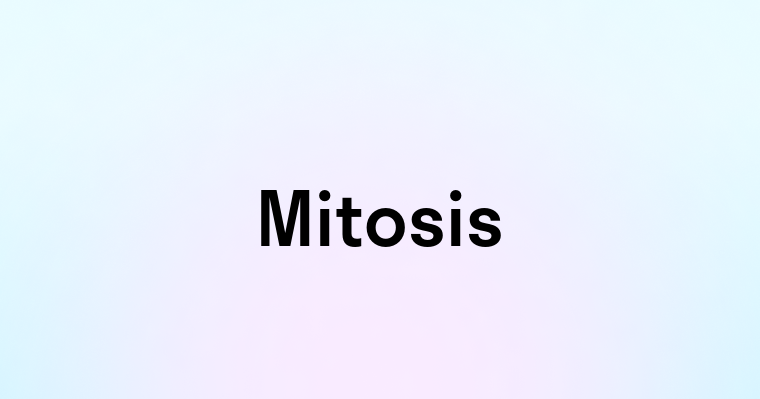 Mitosis