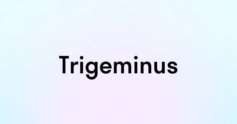 Trigeminus