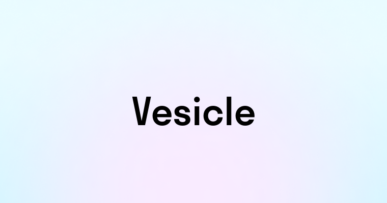 Vesicle