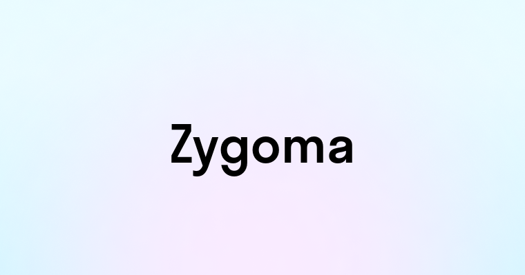 Zygoma