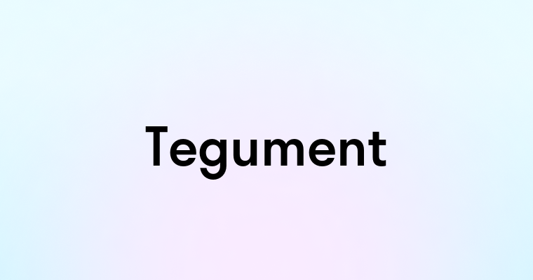 Tegument