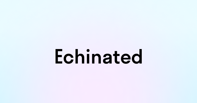 Echinated