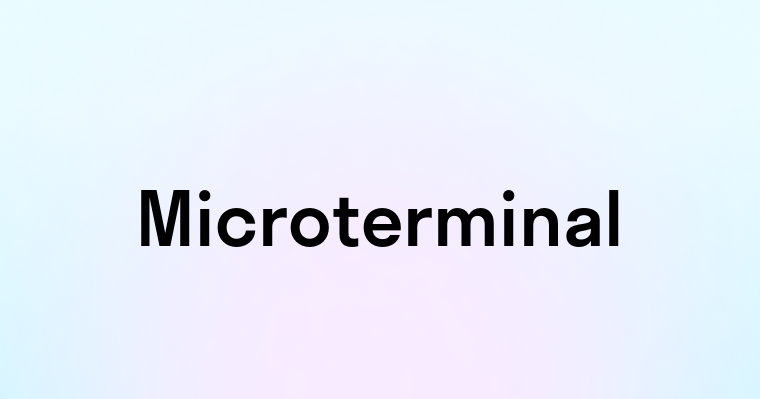 Microterminal