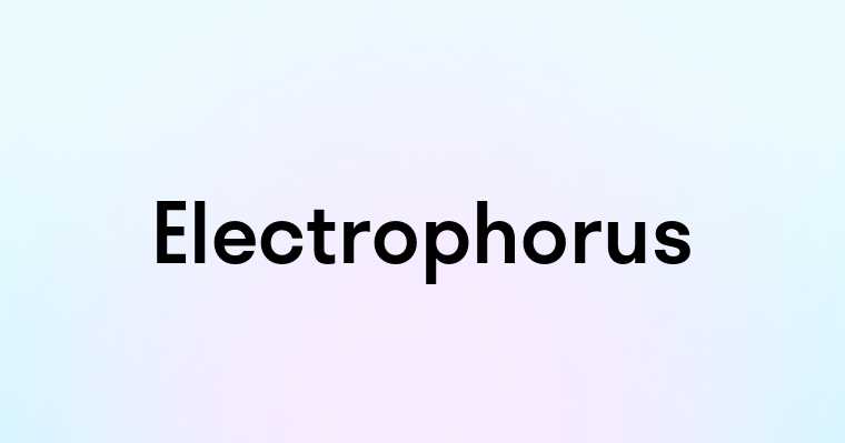 Electrophorus