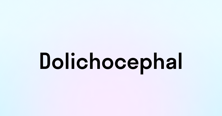 Dolichocephal