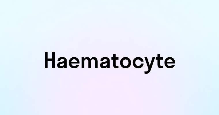 Haematocyte