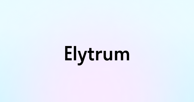 Elytrum