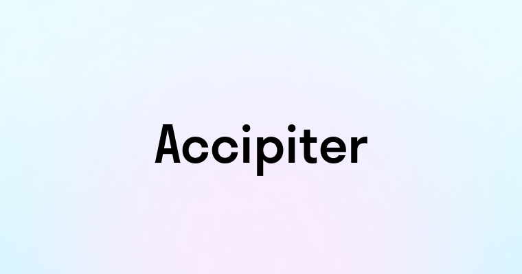 Accipiter