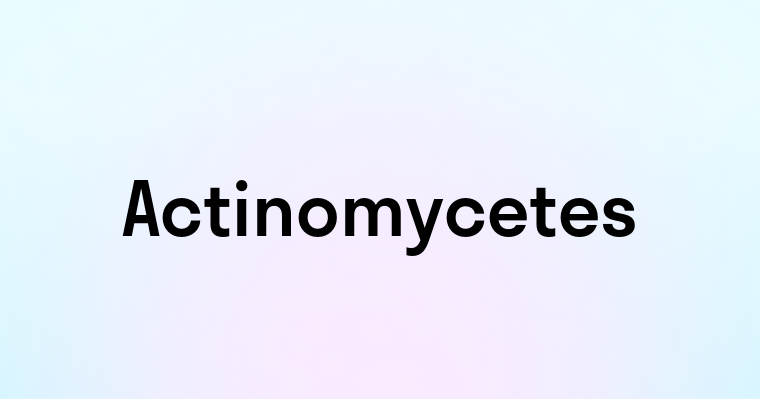 Actinomycetes